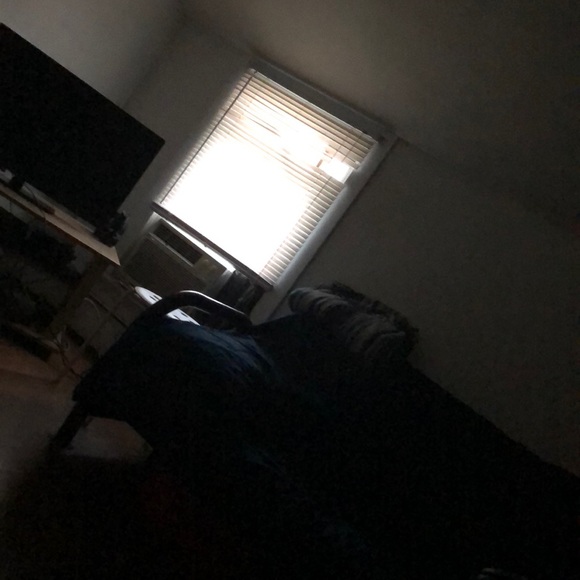 Meet your Posher, Tara - Picture 1 of 1